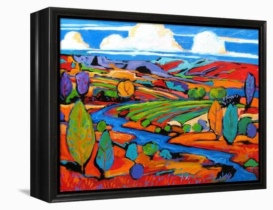Southwest Fauve Landscape-Patty Baker-Framed Stretched Canvas