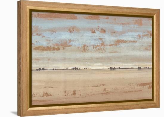Southwest Vista II-Tim OToole-Framed Stretched Canvas