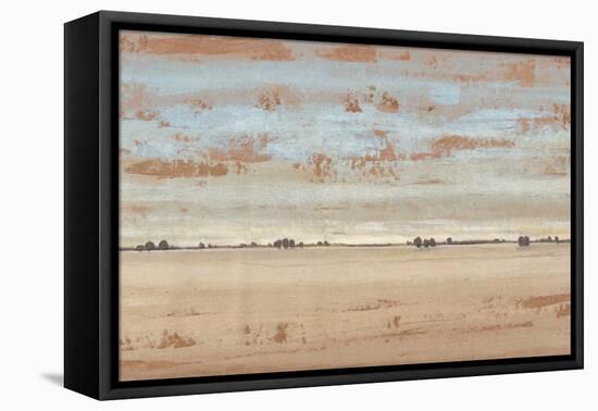 Southwest Vista II-Tim OToole-Framed Stretched Canvas