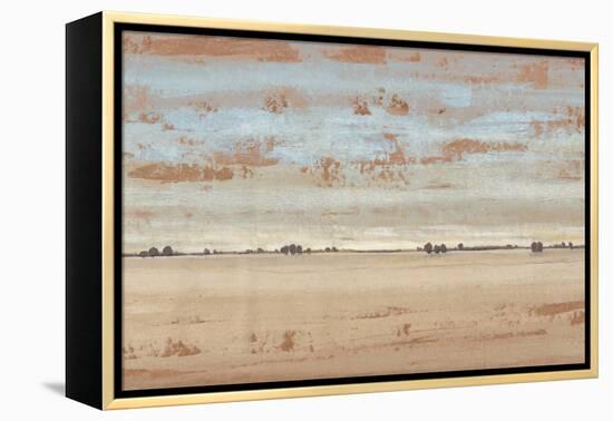 Southwest Vista II-Tim OToole-Framed Stretched Canvas