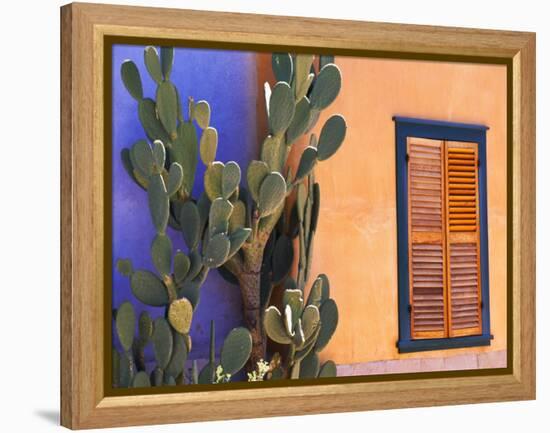 Southwestern Cactus and Window, Tucson, Arizona, USA-Tom Haseltine-Framed Premier Image Canvas