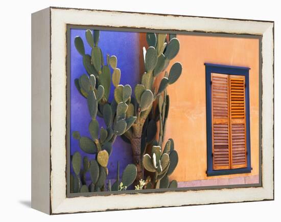 Southwestern Cactus and Window, Tucson, Arizona, USA-Tom Haseltine-Framed Premier Image Canvas