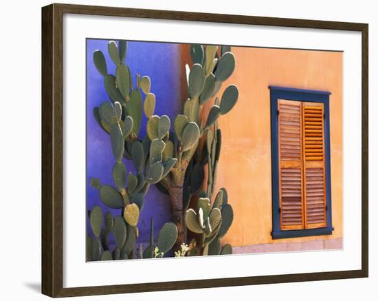 Southwestern Cactus and Window, Tucson, Arizona, USA-Tom Haseltine-Framed Premium Photographic Print