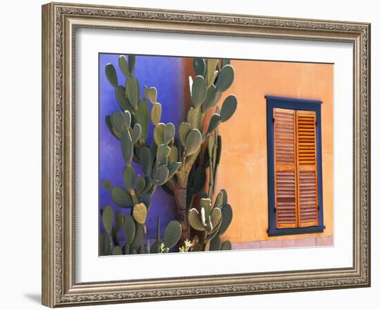 Southwestern Cactus and Window, Tucson, Arizona, USA-Tom Haseltine-Framed Photographic Print