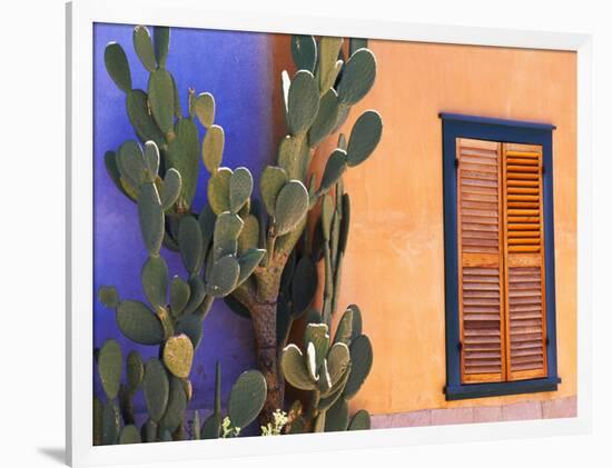 Southwestern Cactus and Window, Tucson, Arizona, USA-Tom Haseltine-Framed Photographic Print