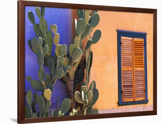 Southwestern Cactus and Window, Tucson, Arizona, USA-Tom Haseltine-Framed Photographic Print