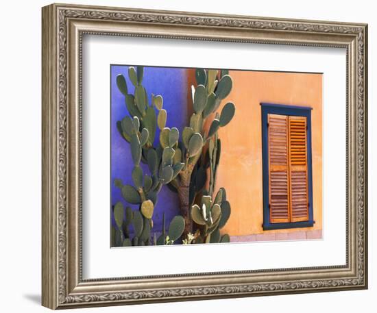 Southwestern Cactus and Window, Tucson, Arizona, USA-Tom Haseltine-Framed Photographic Print