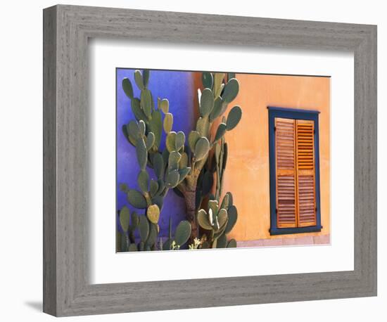 Southwestern Cactus and Window, Tucson, Arizona, USA-Tom Haseltine-Framed Photographic Print