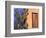 Southwestern Cactus and Window, Tucson, Arizona, USA-Tom Haseltine-Framed Photographic Print