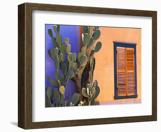 Southwestern Cactus and Window, Tucson, Arizona, USA-Tom Haseltine-Framed Photographic Print