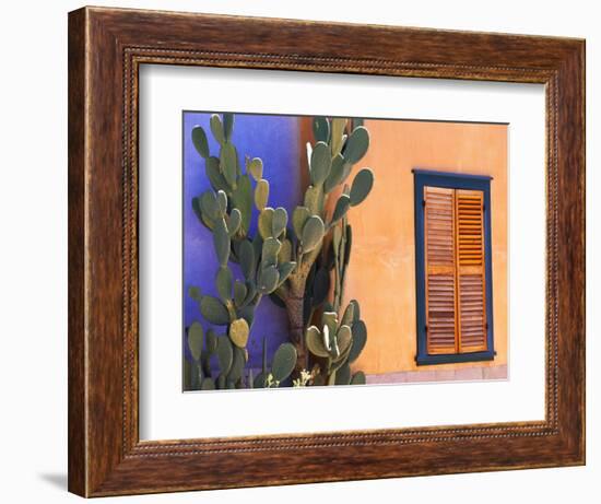 Southwestern Cactus and Window, Tucson, Arizona, USA-Tom Haseltine-Framed Photographic Print