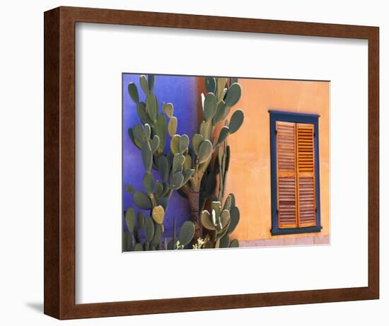 Southwestern Cactus and Window, Tucson, Arizona, USA-Tom Haseltine-Framed Photographic Print