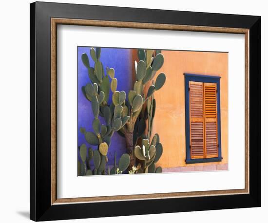 Southwestern Cactus and Window, Tucson, Arizona, USA-Tom Haseltine-Framed Photographic Print