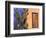 Southwestern Cactus and Window, Tucson, Arizona, USA-Tom Haseltine-Framed Photographic Print