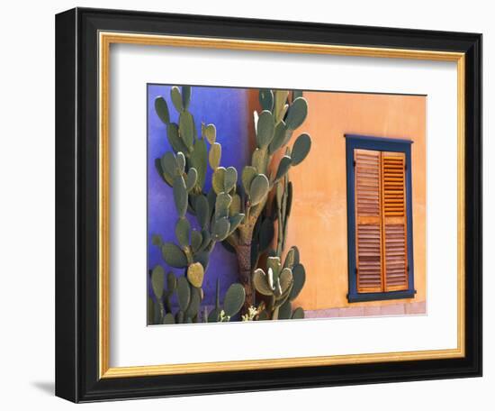 Southwestern Cactus and Window, Tucson, Arizona, USA-Tom Haseltine-Framed Photographic Print