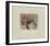 Souvenir d'apothicaire-Annapia Antonini-Framed Limited Edition