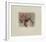 Souvenir d'apothicaire-Annapia Antonini-Framed Limited Edition