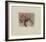 Souvenir d'apothicaire-Annapia Antonini-Framed Limited Edition