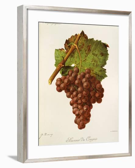 Souvenir Du Congres Grape-J. Troncy-Framed Giclee Print