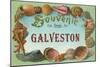 Souvenir from Galveston, Texas-null-Mounted Art Print