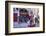 Souvenir Shops in the Kasbah, Chefchaouen, Rif Mountains, Morocco-Emily Wilson-Framed Photographic Print