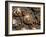 Souvenirs, Kona, Hawaii, USA-Savanah Stewart-Framed Photographic Print