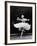 Soviet Ballerina Galina Ulanova Dancing in Title Roll of Ballet "Giselle" at the Bolshoi Theater-Howard Sochurek-Framed Premium Photographic Print