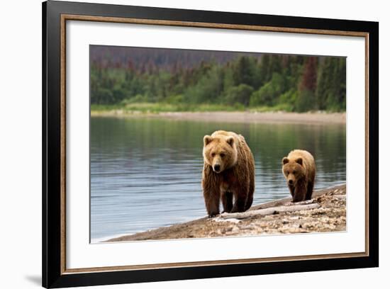 Sow and Cub-federicoriz-Framed Photographic Print