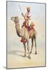 Sowar of the Bikanir Camel Corps, Illustration for 'Armies of India' by Major G.F. MacMunn,…-Alfred Crowdy Lovett-Mounted Giclee Print