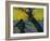 Sower, 1888-Vincent van Gogh-Framed Giclee Print