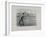 Sower, 1896-Camille Pissarro-Framed Giclee Print