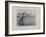 Sower, 1896-Camille Pissarro-Framed Giclee Print