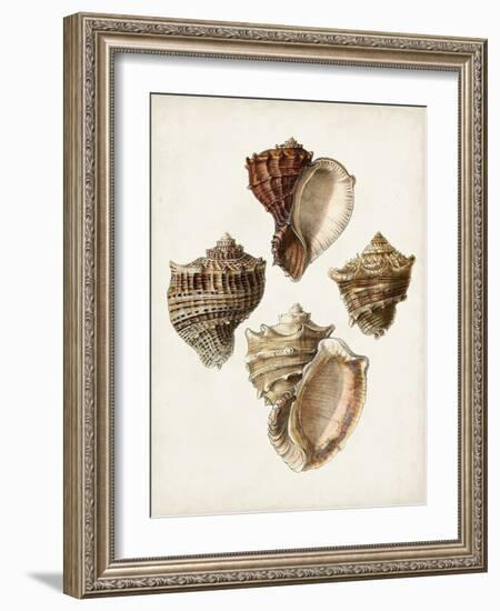 Sowerby Shells I-James Sowerby-Framed Art Print