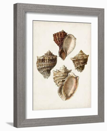 Sowerby Shells I-James Sowerby-Framed Art Print