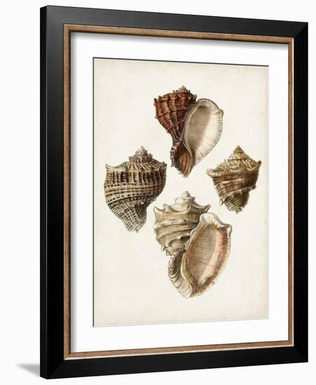 Sowerby Shells I-James Sowerby-Framed Art Print