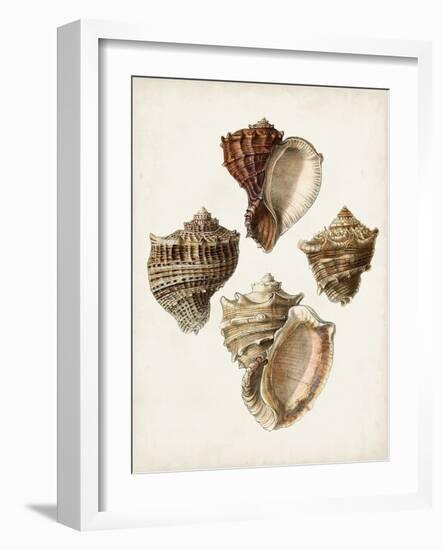 Sowerby Shells I-James Sowerby-Framed Art Print