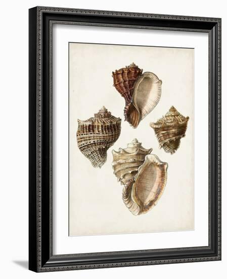 Sowerby Shells I-James Sowerby-Framed Art Print