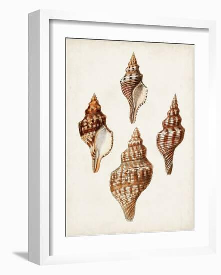 Sowerby Shells IV-James Sowerby-Framed Art Print