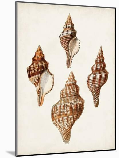 Sowerby Shells IV-James Sowerby-Mounted Art Print