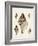 Sowerby Shells VIII-James Sowerby-Framed Art Print