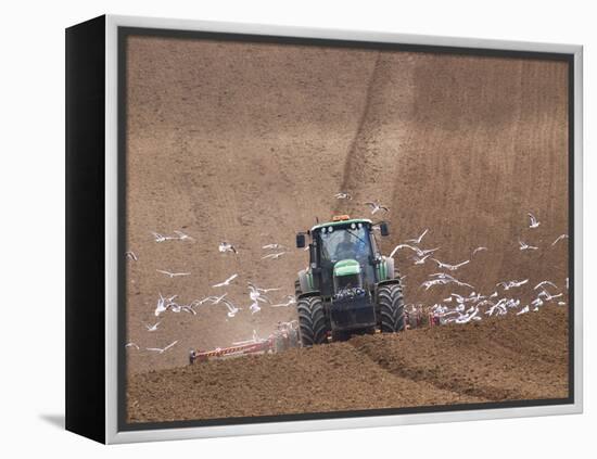 Sowing a Cereal Crop In Mid March-Adrian Bicker-Framed Premier Image Canvas