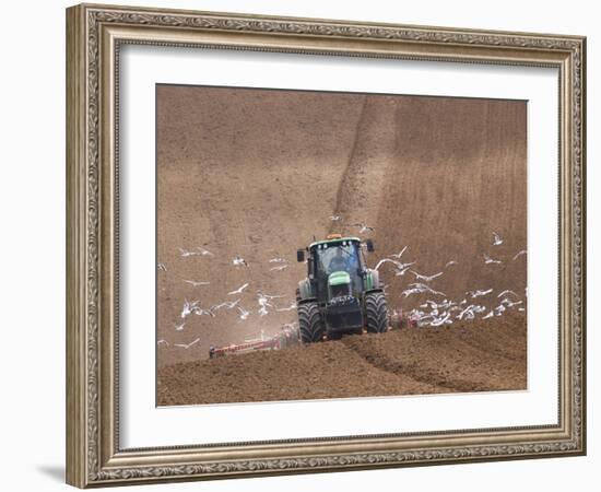 Sowing a Cereal Crop In Mid March-Adrian Bicker-Framed Photographic Print