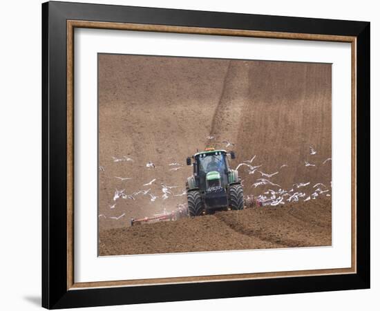 Sowing a Cereal Crop In Mid March-Adrian Bicker-Framed Photographic Print