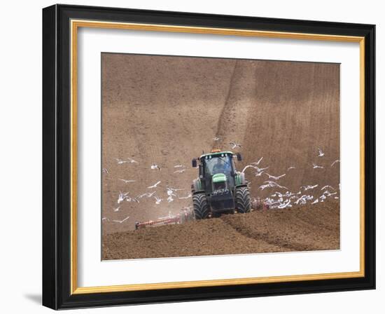 Sowing a Cereal Crop In Mid March-Adrian Bicker-Framed Photographic Print