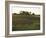 Soy Bean Field, Hudson, Illinois, Midwest, USA-Ken Gillham-Framed Photographic Print