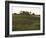 Soy Bean Field, Hudson, Illinois, Midwest, USA-Ken Gillham-Framed Photographic Print