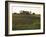 Soy Bean Field, Hudson, Illinois, Midwest, USA-Ken Gillham-Framed Photographic Print