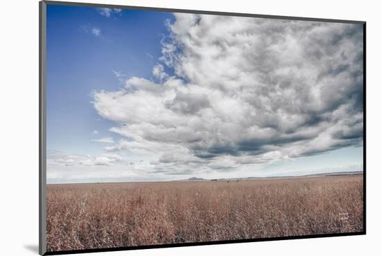 Soy Fields-Nathan Larson-Mounted Photographic Print