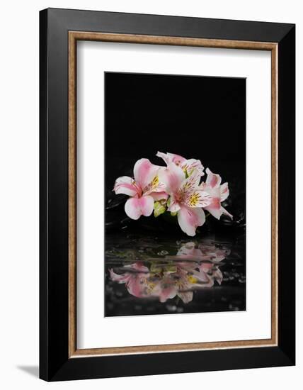 Spa and Aromatherapy Concept Shot- Branch Orchid with Therapy Black Stones-crystalfoto-Framed Photographic Print