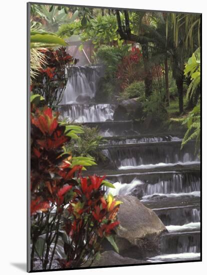 Spa and Gardens of Tabacon Hot Springs, Costa Rica-Michele Westmorland-Mounted Photographic Print